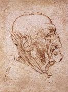LEONARDO da Vinci Profile of an old man china oil painting artist